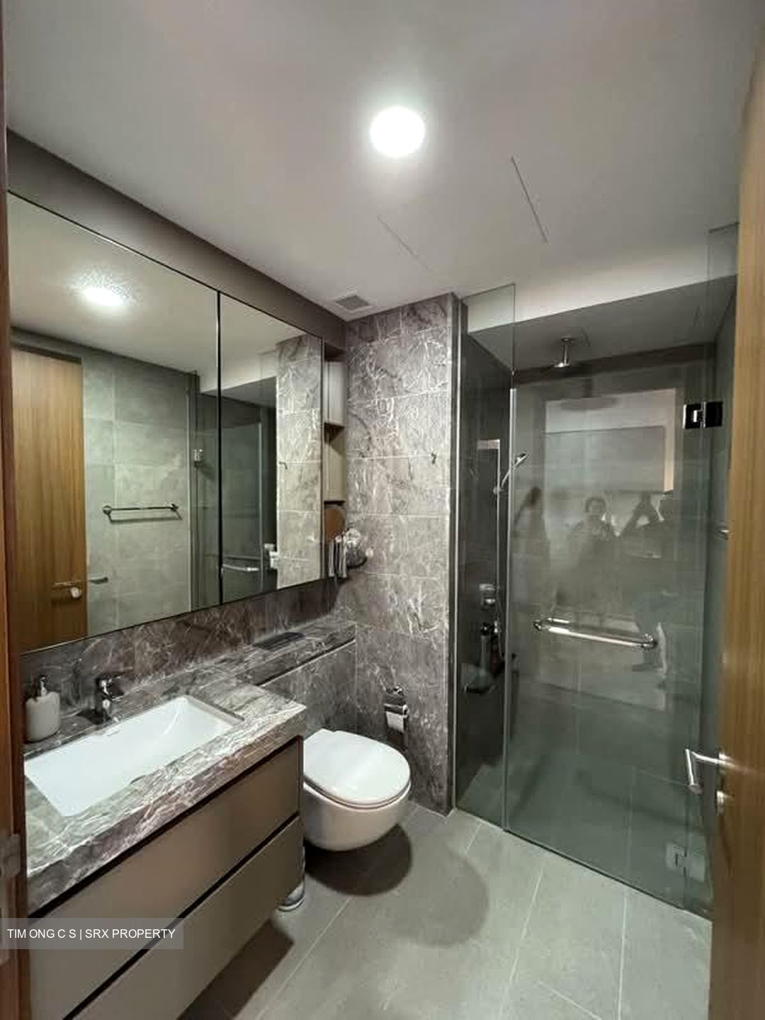 Piccadilly Grand (D8), Apartment #542620581